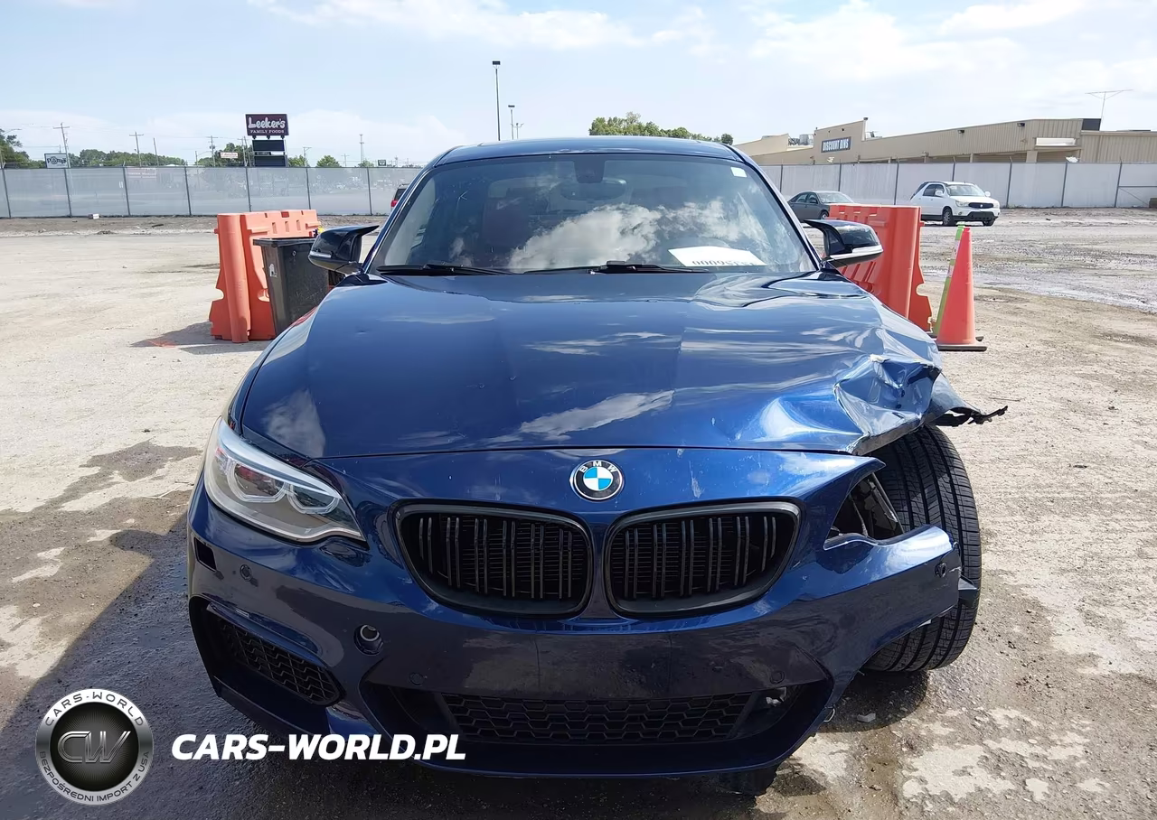 2015 BMW 228I VIN:WBA1F5C53FV257041 - 13