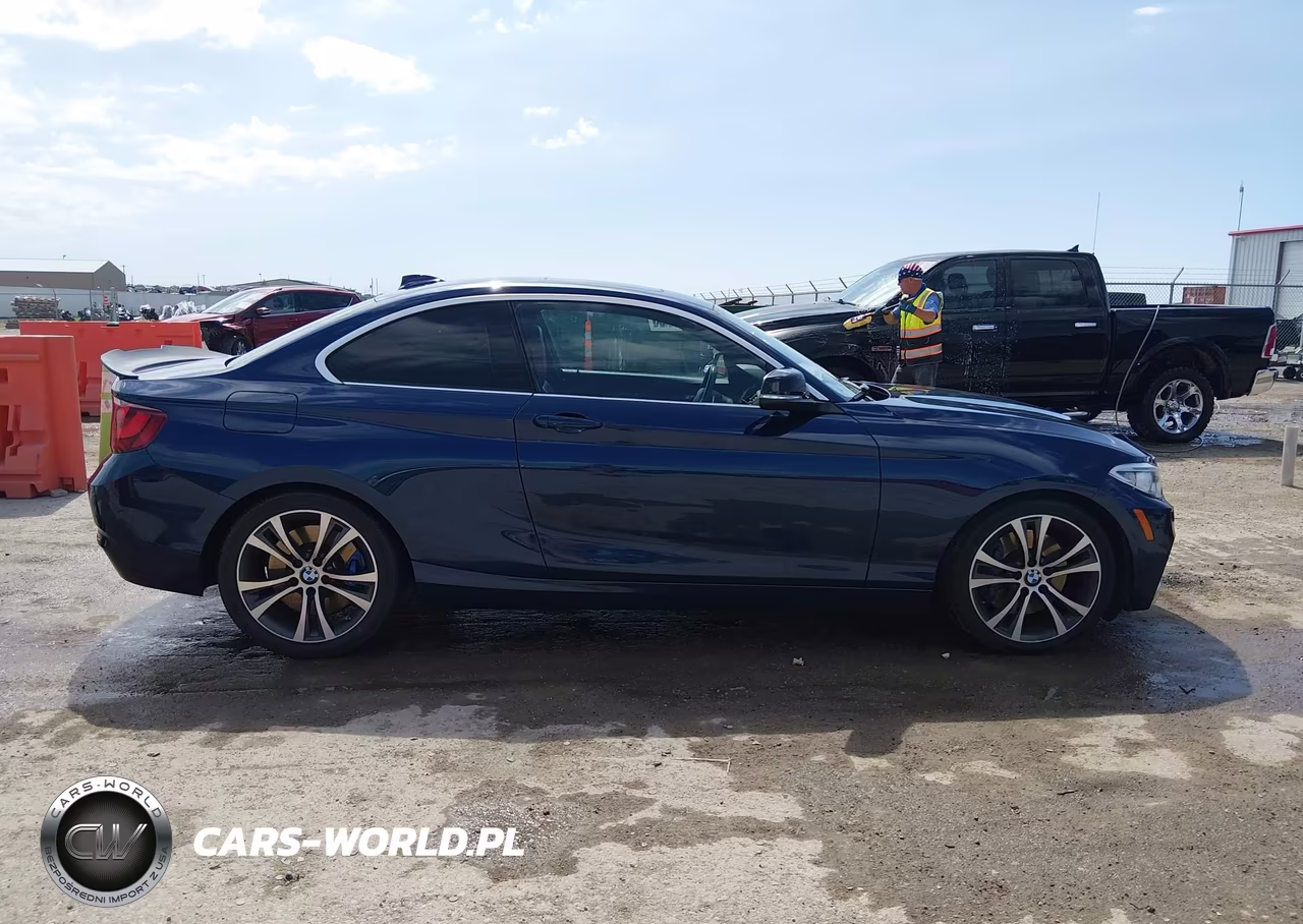 2015 BMW 228I VIN:WBA1F5C53FV257041 - 14