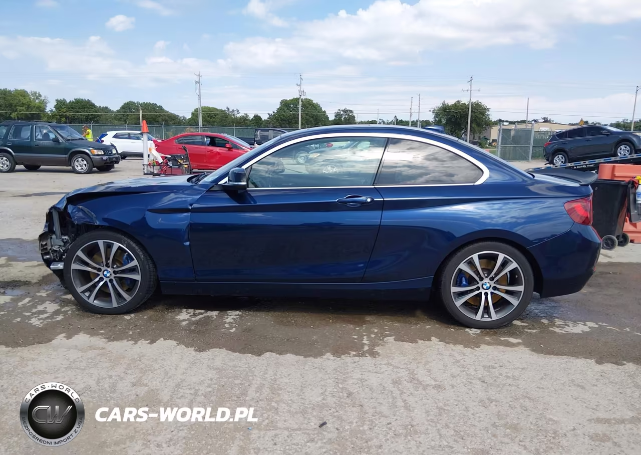 2015 BMW 228I VIN:WBA1F5C53FV257041 - 15