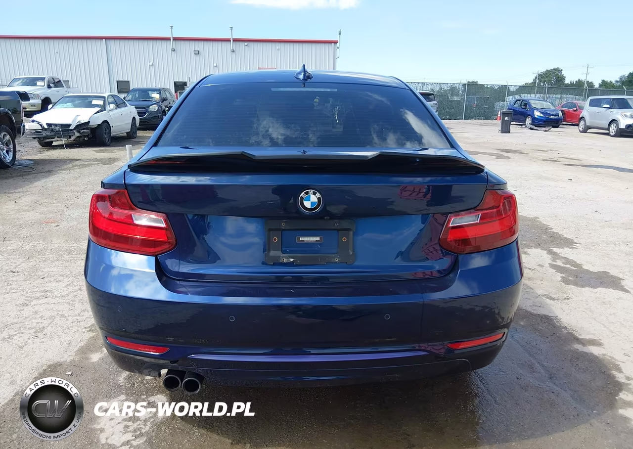 2015 BMW 228I VIN:WBA1F5C53FV257041 - 17