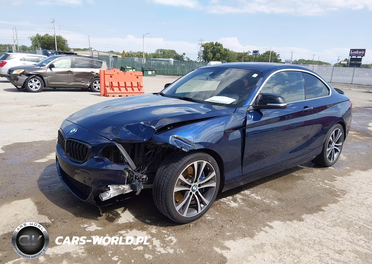 2015 BMW 228I VIN:WBA1F5C53FV257041 - 2