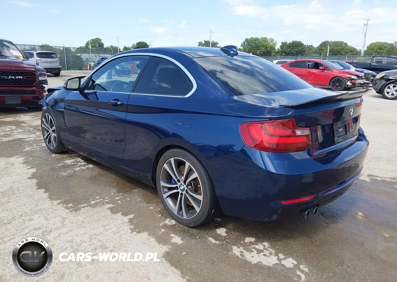 2015 BMW 228I VIN:WBA1F5C53FV257041 - 3