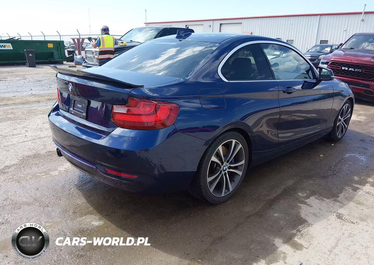 2015 BMW 228I VIN:WBA1F5C53FV257041 - 4