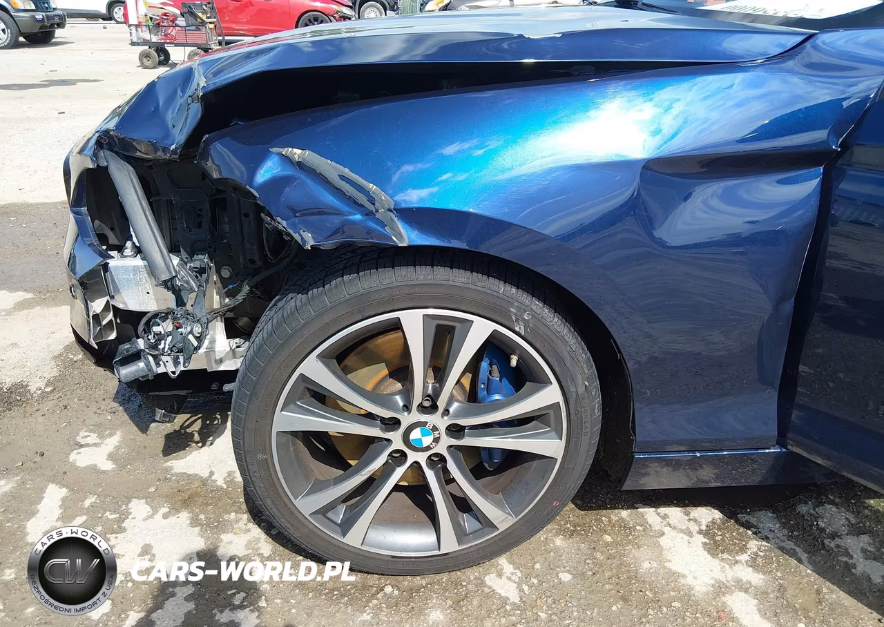 2015 BMW 228I VIN:WBA1F5C53FV257041 - 6