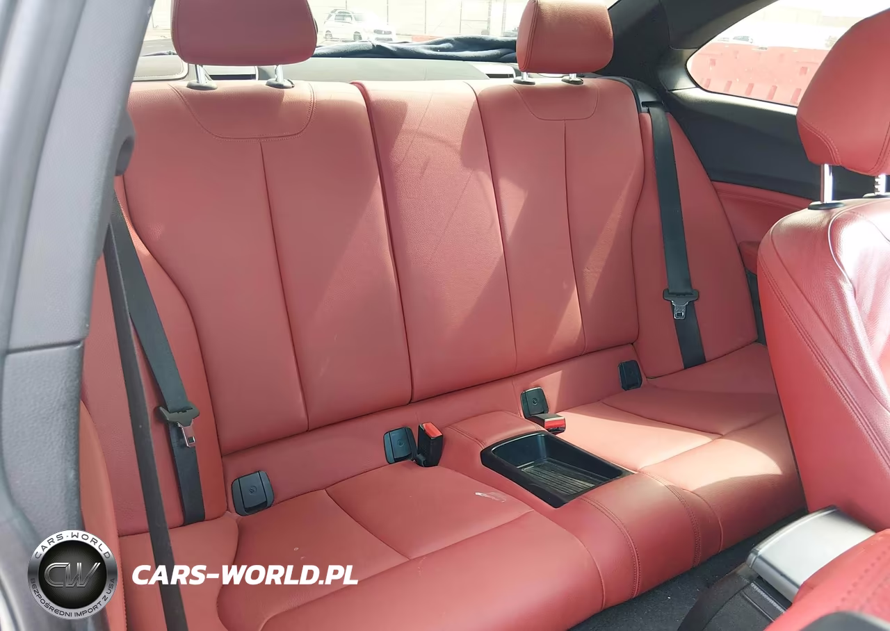 2015 BMW 228I VIN:WBA1F5C53FV257041 - 8