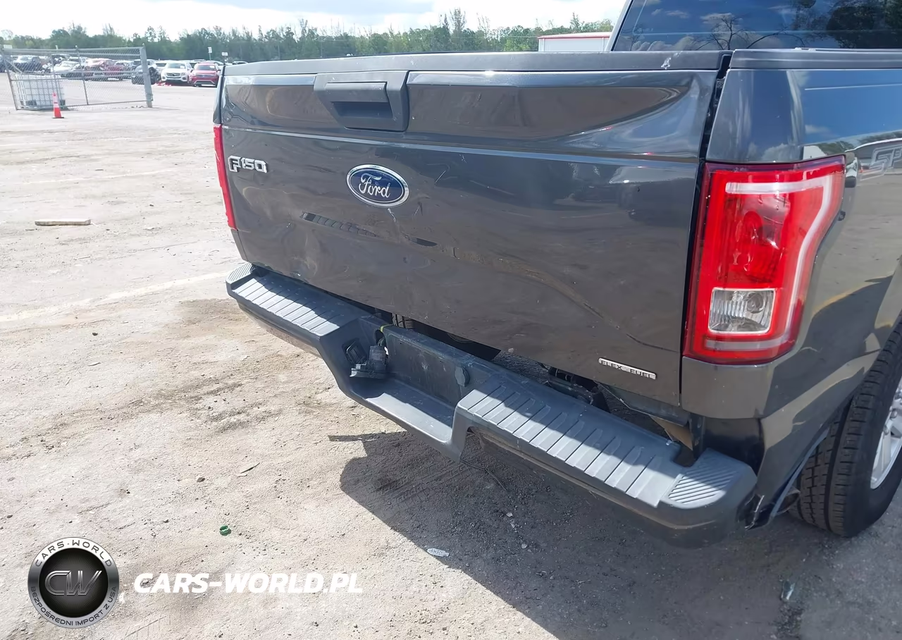 2015 Ford F-150 Xl VIN:1FTEX1C85FFC26985 - 17
