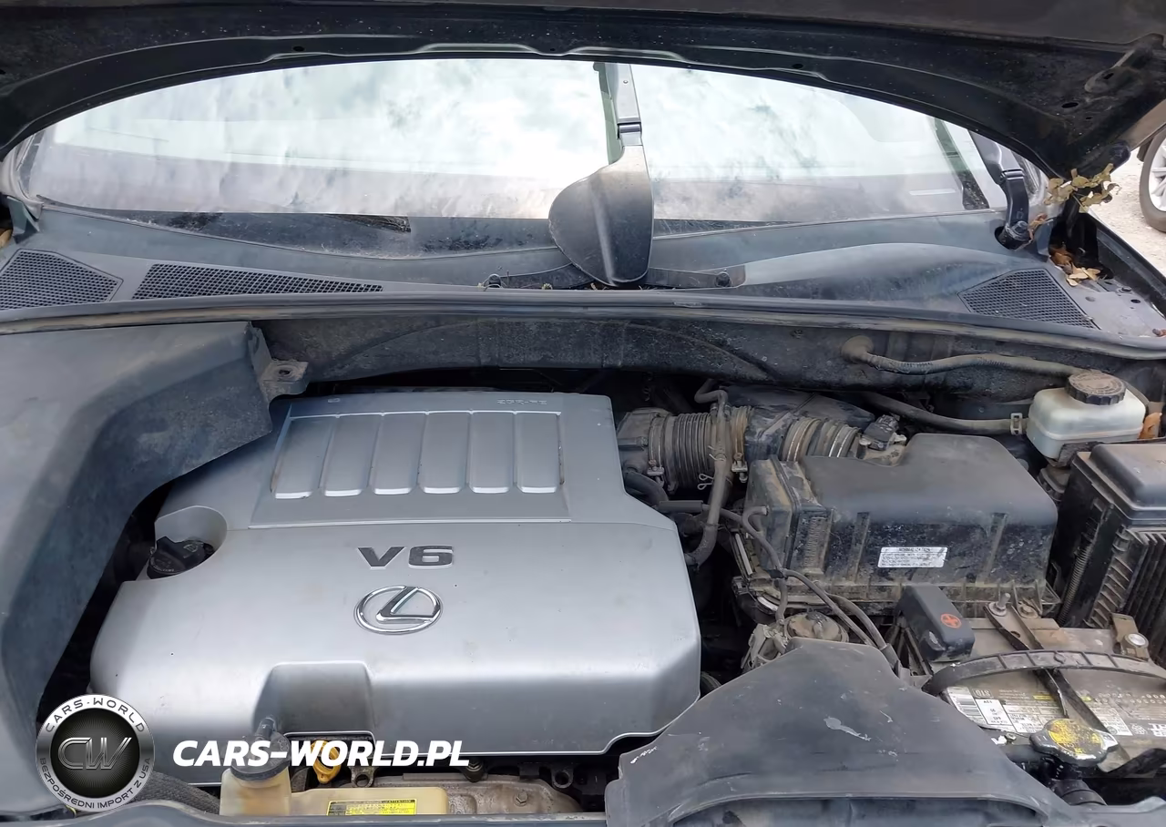 2007 Lexus Rx 350 VIN:2T2HK31UX7C027380 - 10