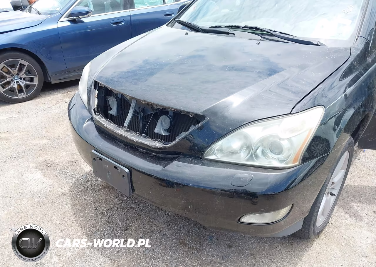 2007 Lexus Rx 350 VIN:2T2HK31UX7C027380 - 6