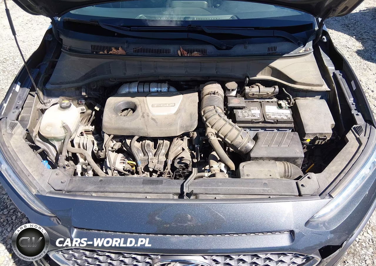 2019 Hyundai Kona Limited VIN:KM8K3CA59KU331078 - 10