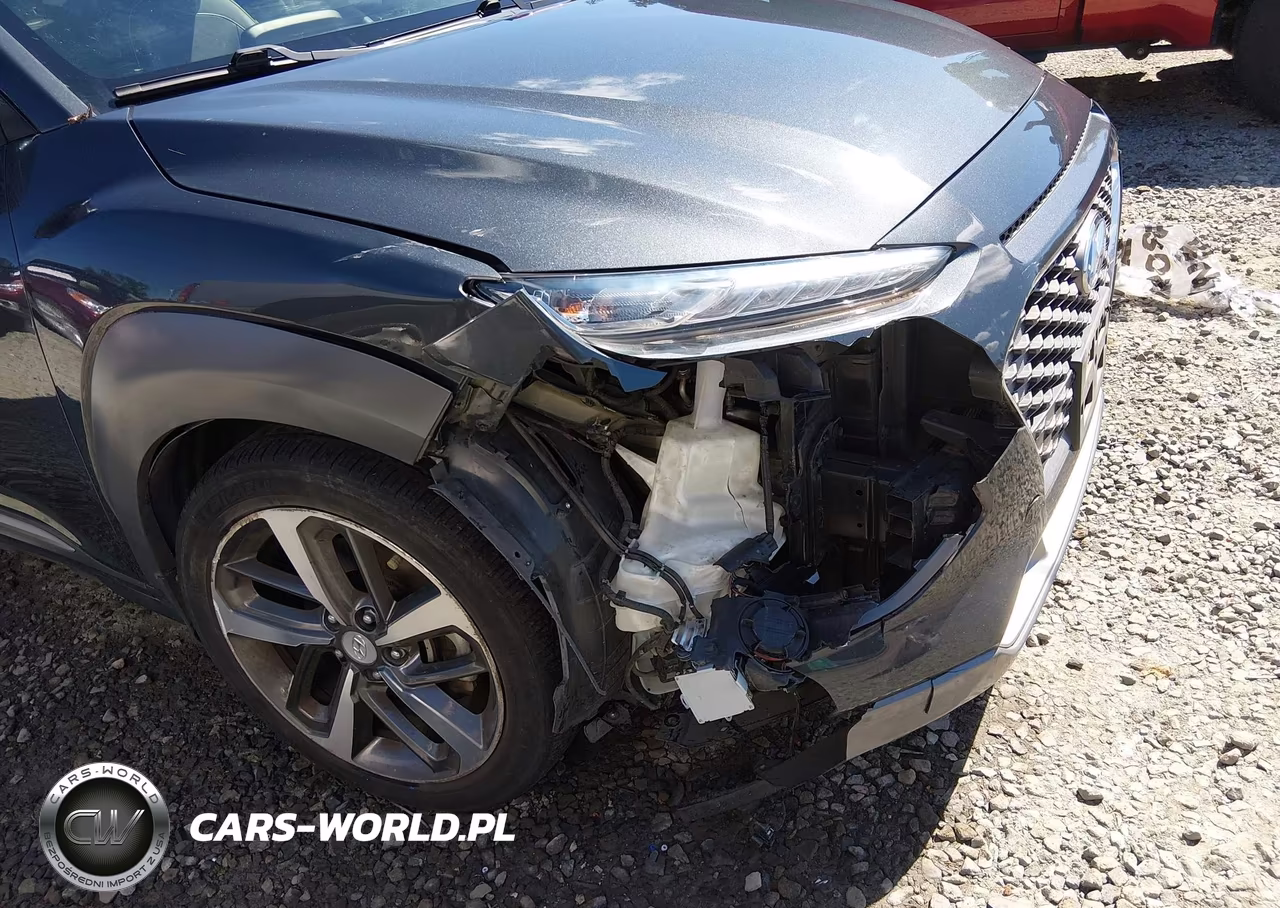 2019 Hyundai Kona Limited VIN:KM8K3CA59KU331078 - 6