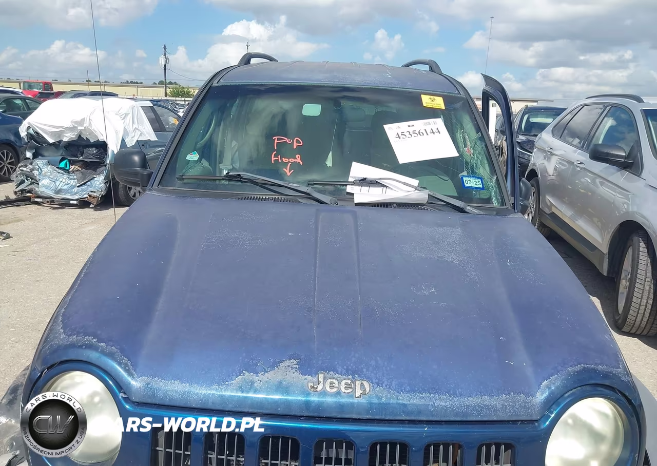 2003 Jeep Liberty Sport VIN:1J4GK48KX3W622915 - 10