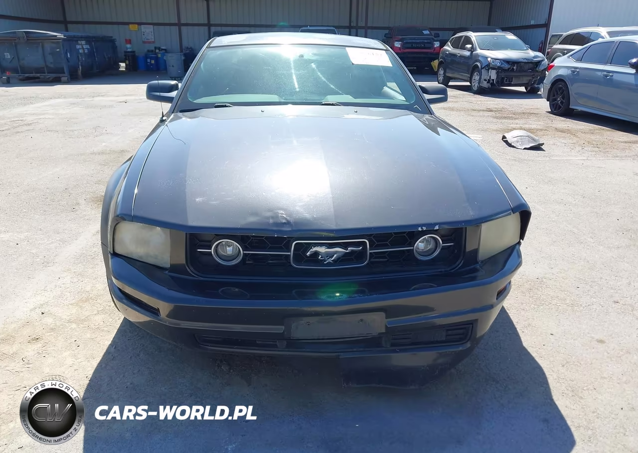 2007 Ford Mustang V6 Deluxe-V6 Premium VIN:1ZVFT80N275283989 - 12