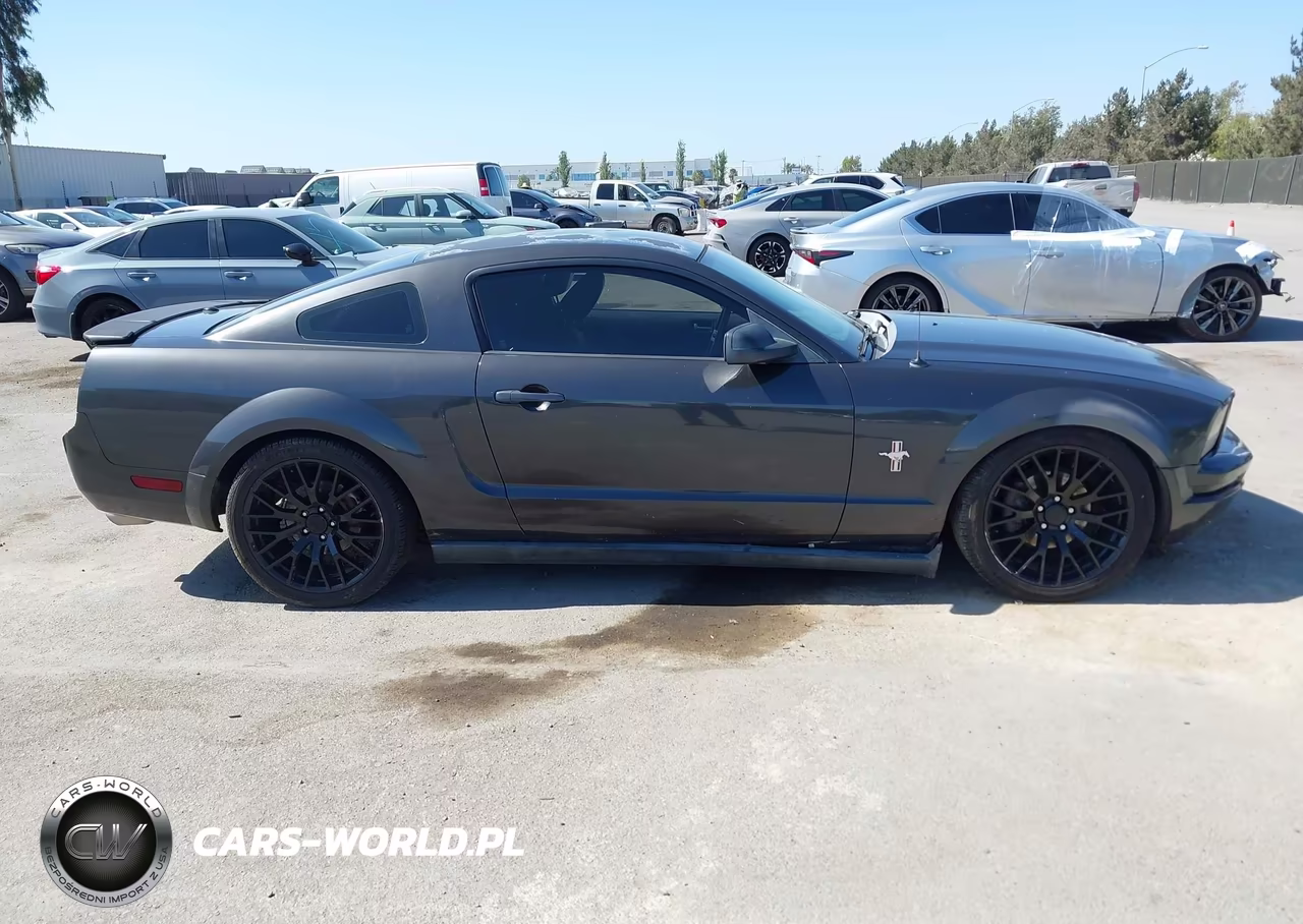 2007 Ford Mustang V6 Deluxe-V6 Premium VIN:1ZVFT80N275283989 - 13