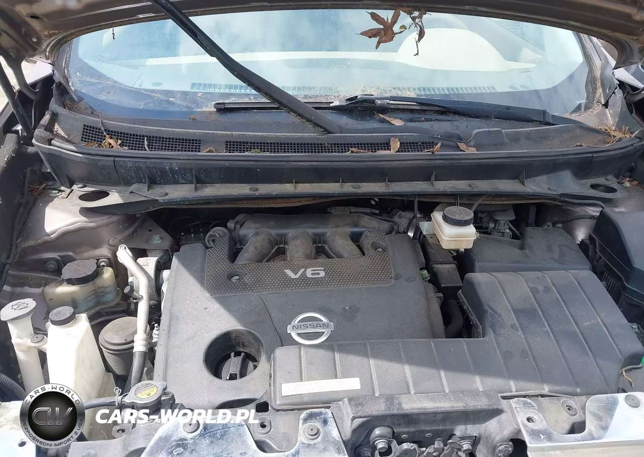 2013 Nissan Murano Sv VIN:JN8AZ1MW5DW302728 - 10