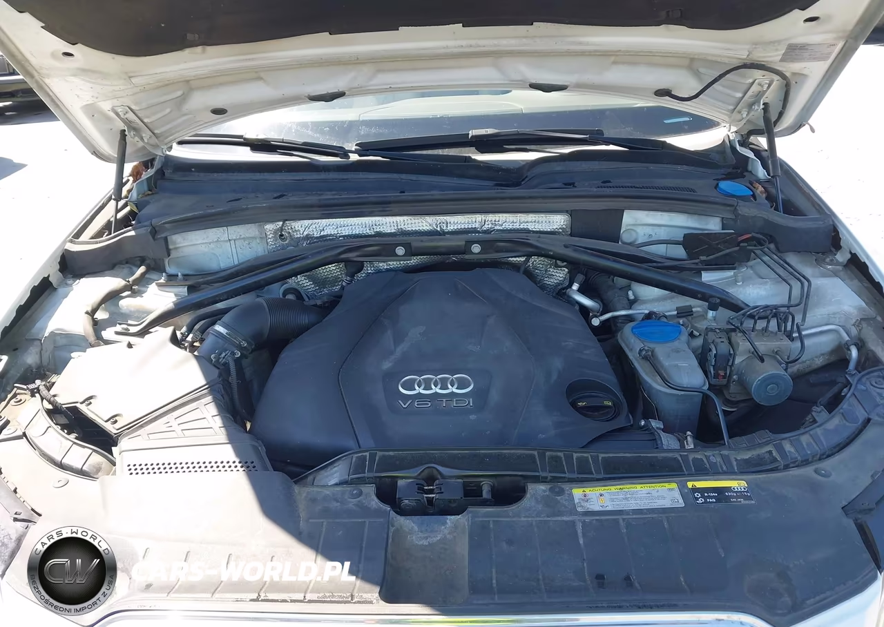 2014 Audi Q5 3.0 Tdi Premium Plus VIN:WA1CMAFP7EA046898 - 10