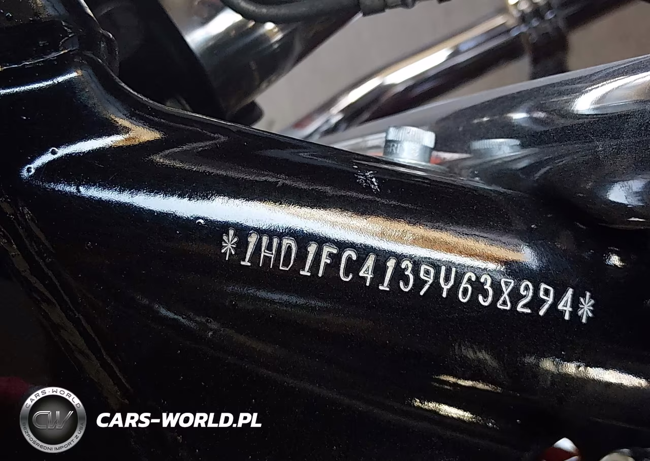 2009 Harley-Davidson Flhtcu VIN:1HD1FC4139Y638294 - 10