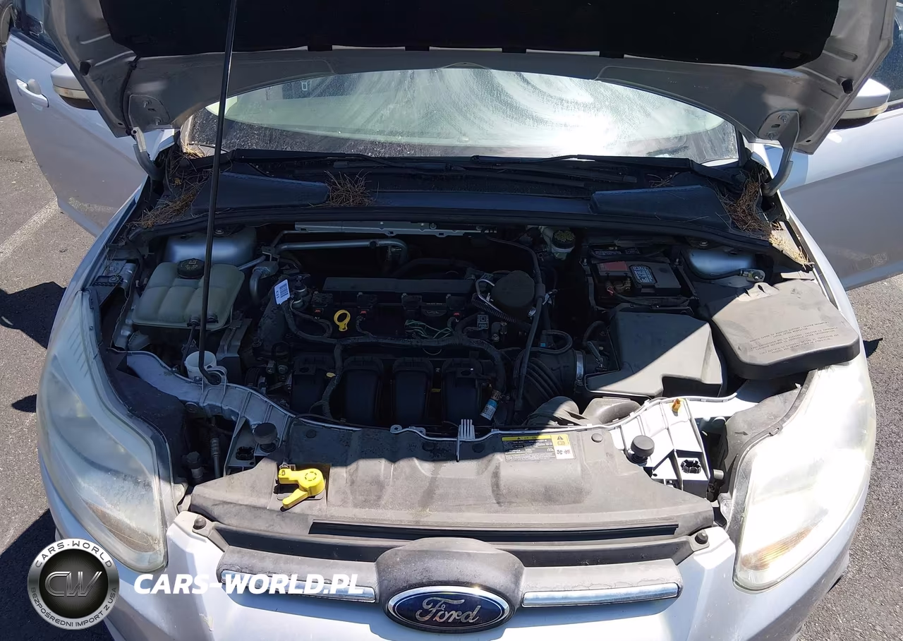 2014 Ford Focus Se VIN:1FADP3K23EL156736 - 10
