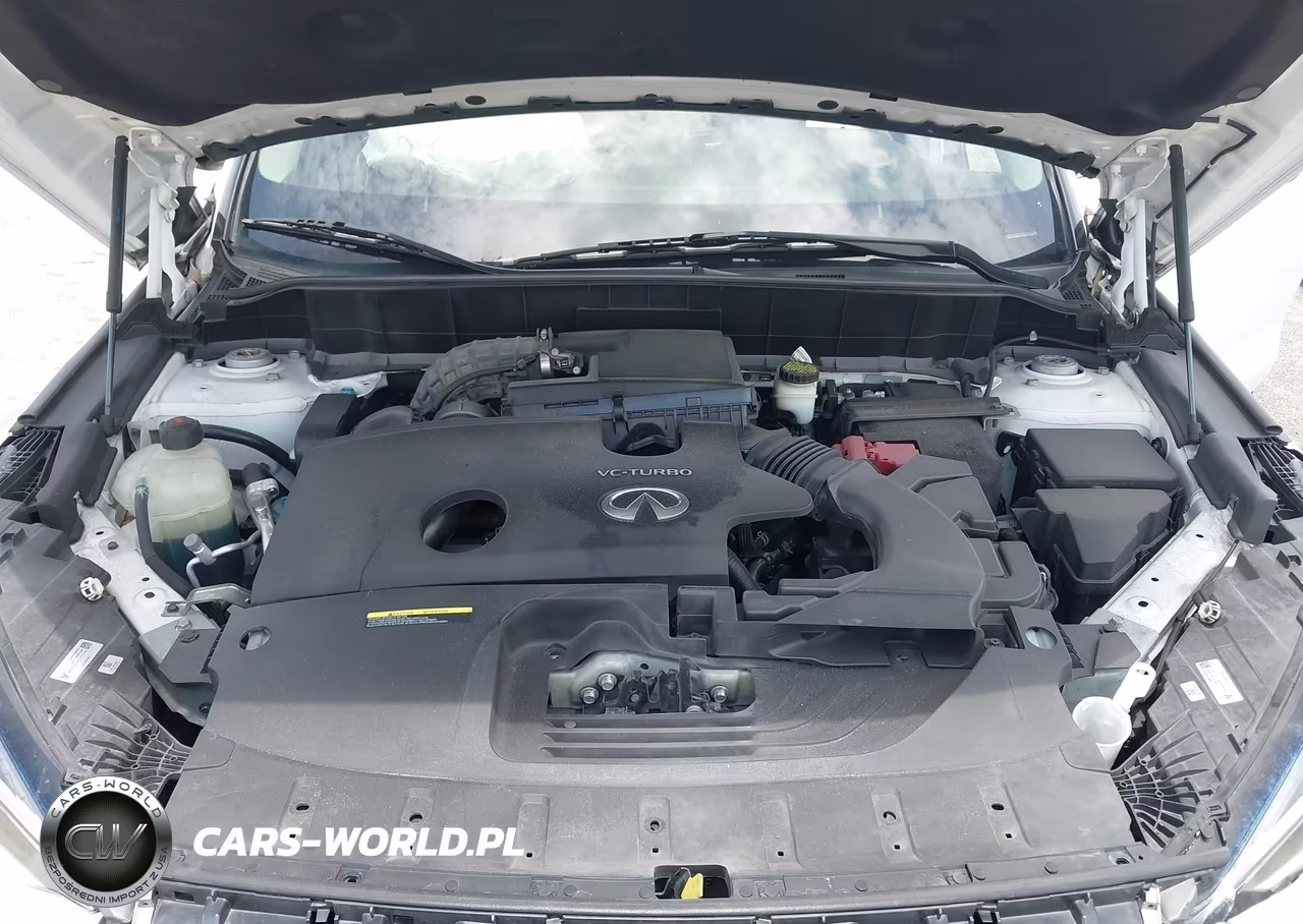 2020 Infiniti Qx50 Luxe VIN:3PCAJ5M19LF111766 - 10