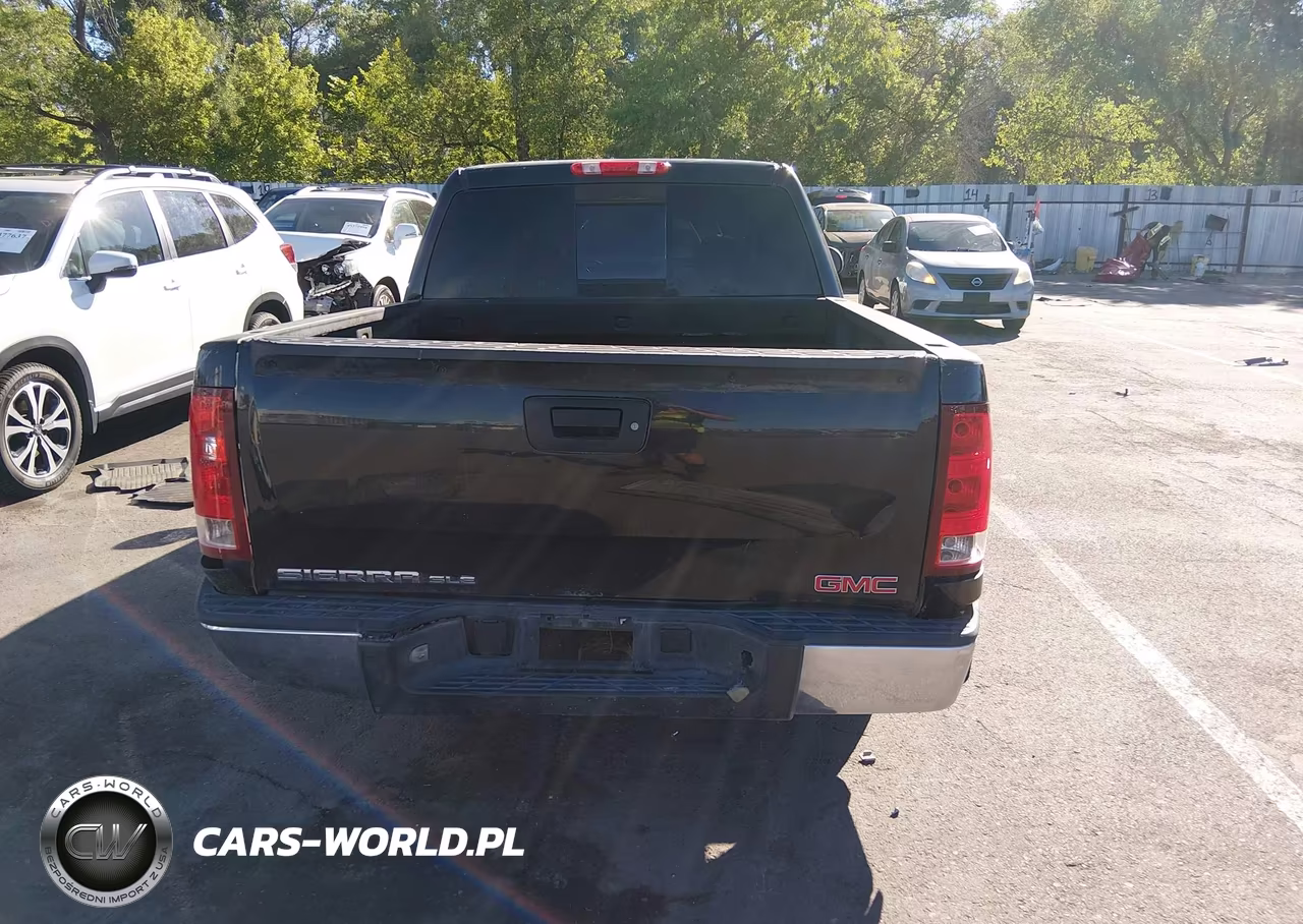 2009 GMC Sierra 1500 Sle VIN:3GTEK23M79G199082 - 17