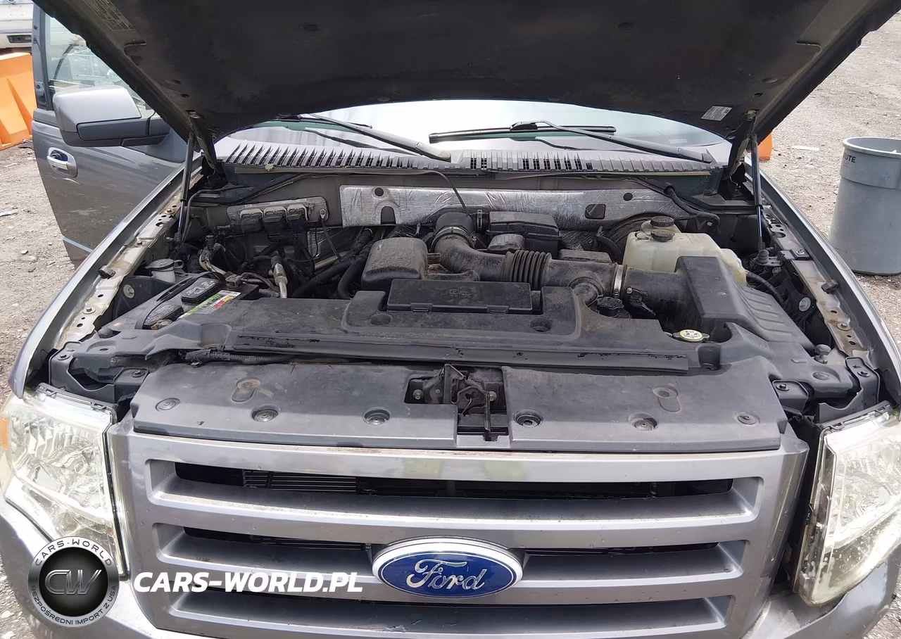 2010 Ford Expedition Limited VIN:1FMJU1K54AEA76490 - 10