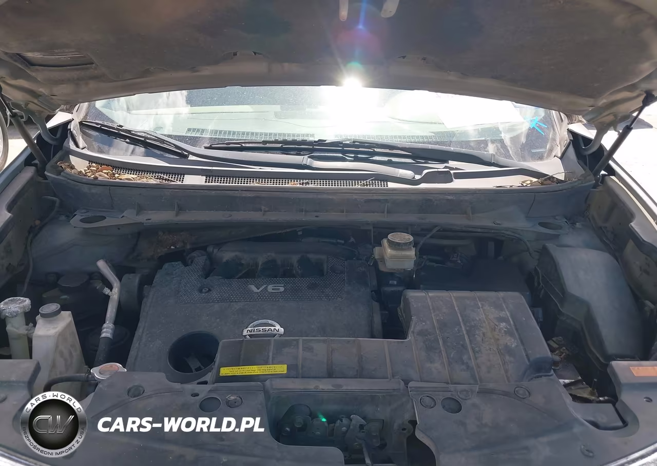 2010 Nissan Murano Sl VIN:JN8AZ1MU0AW007580 - 10