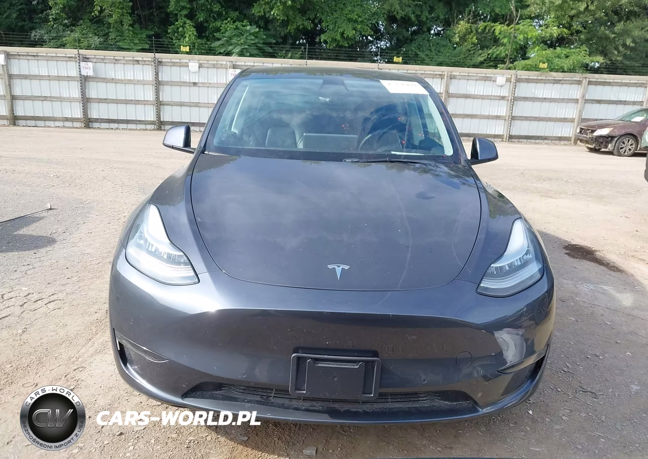 2021 Tesla Model Y Long Range Dual Motor All-Wheel Drive VIN:5YJYGDEE6MF233494 - 12