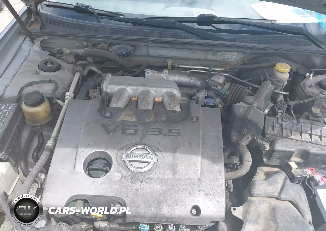 2002 Nissan Maxima Se VIN:JN1DA31D32T206807 - 10