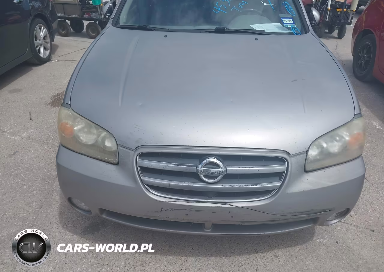 2002 Nissan Maxima Se VIN:JN1DA31D32T206807 - 6