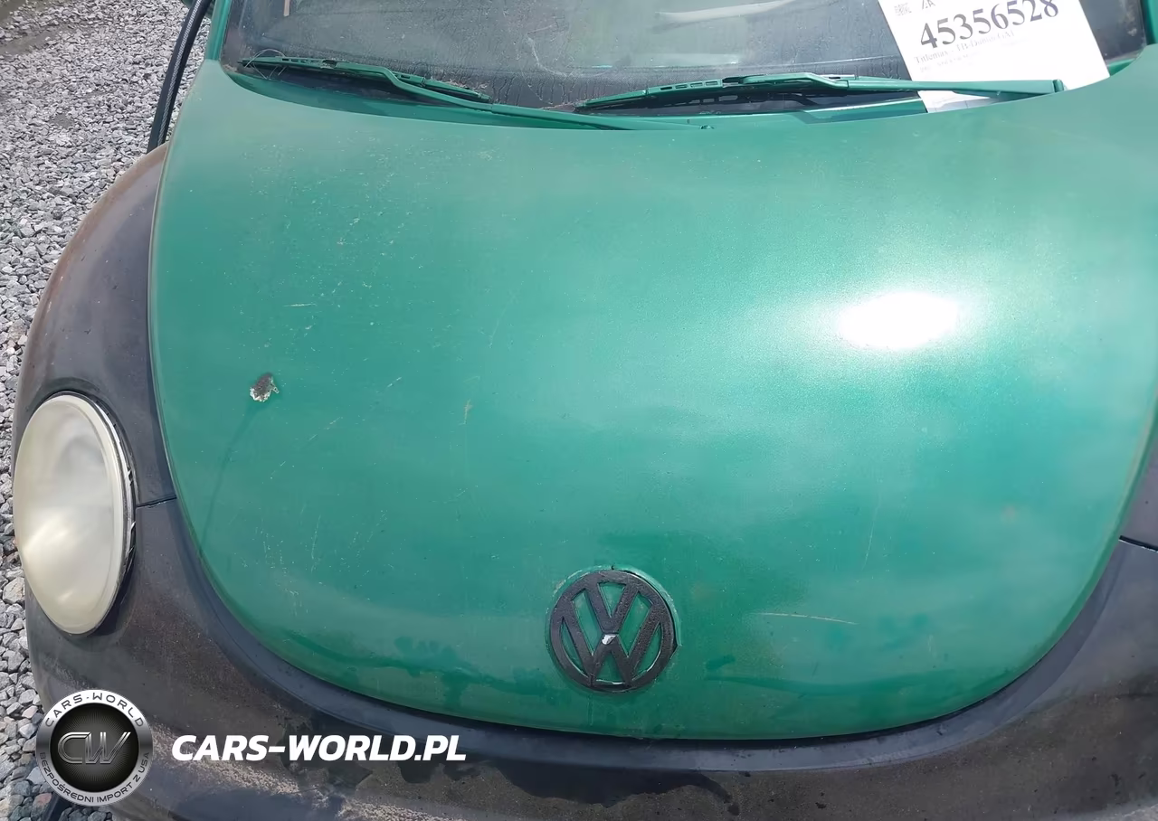 2001 Volkswagen New Beetle Gls VIN:3VWCB21C51M460861 - 10