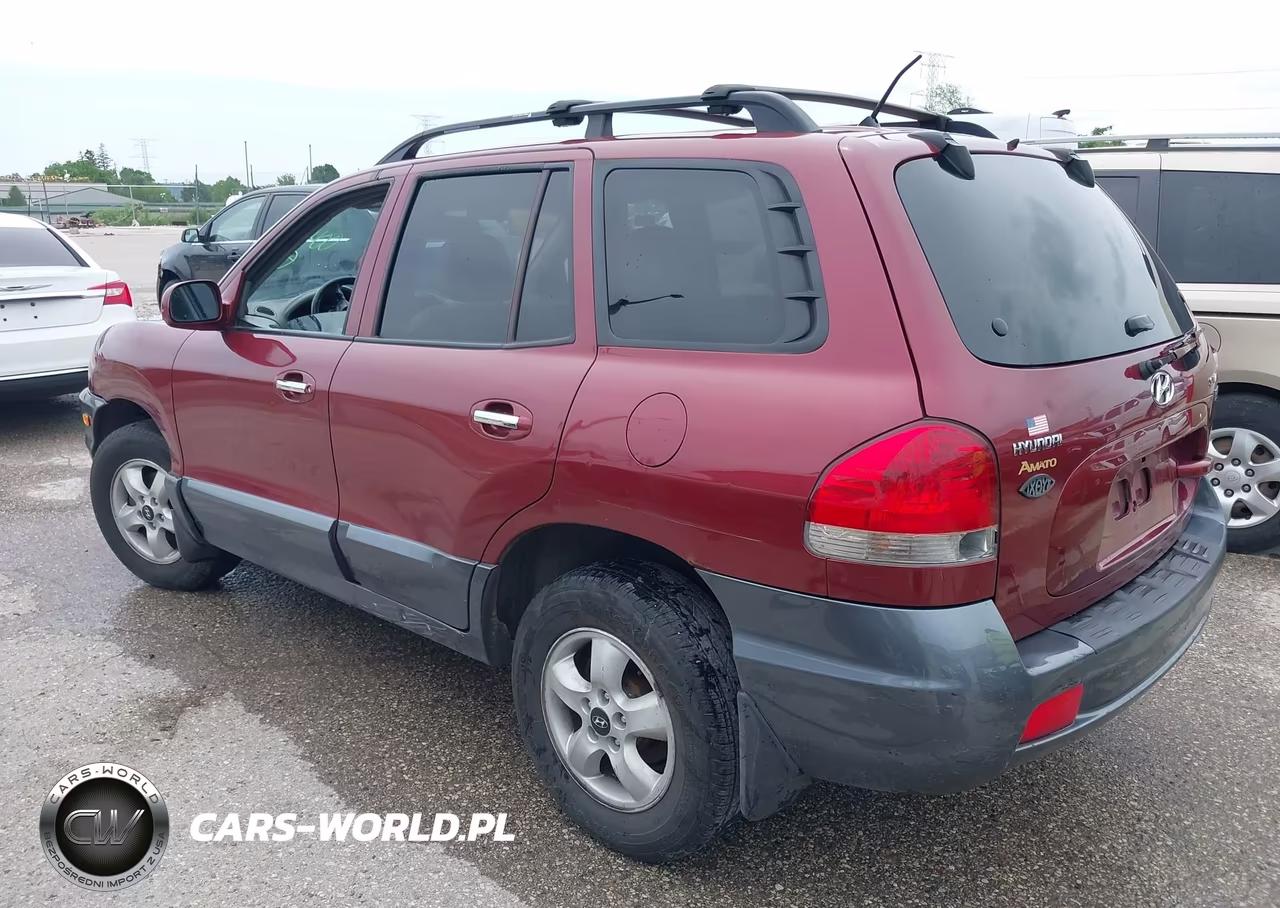 2005 Hyundai Santa Fe Gls-Lx VIN:KM8SC13E25U004429 - 3