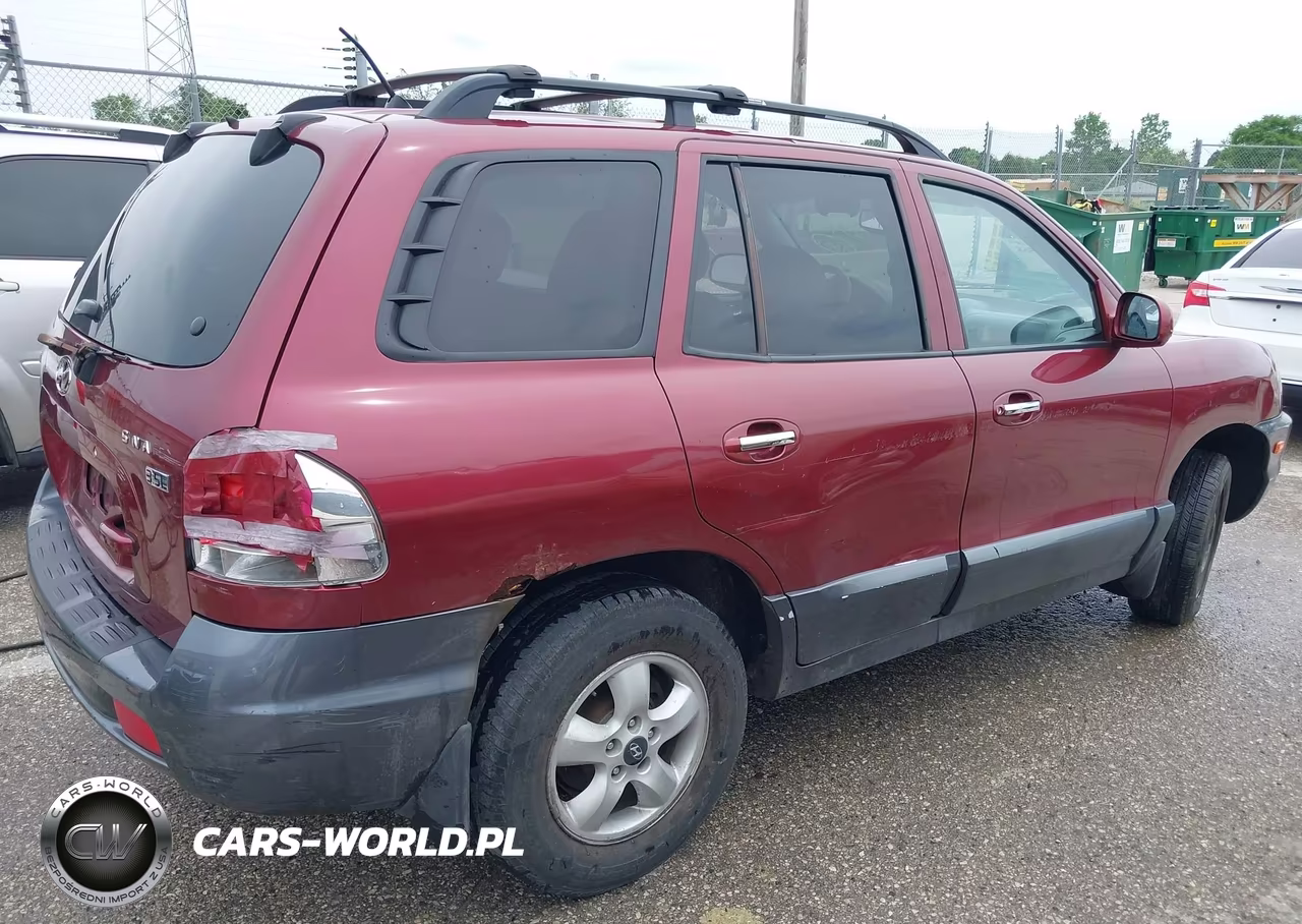 2005 Hyundai Santa Fe Gls-Lx VIN:KM8SC13E25U004429 - 4