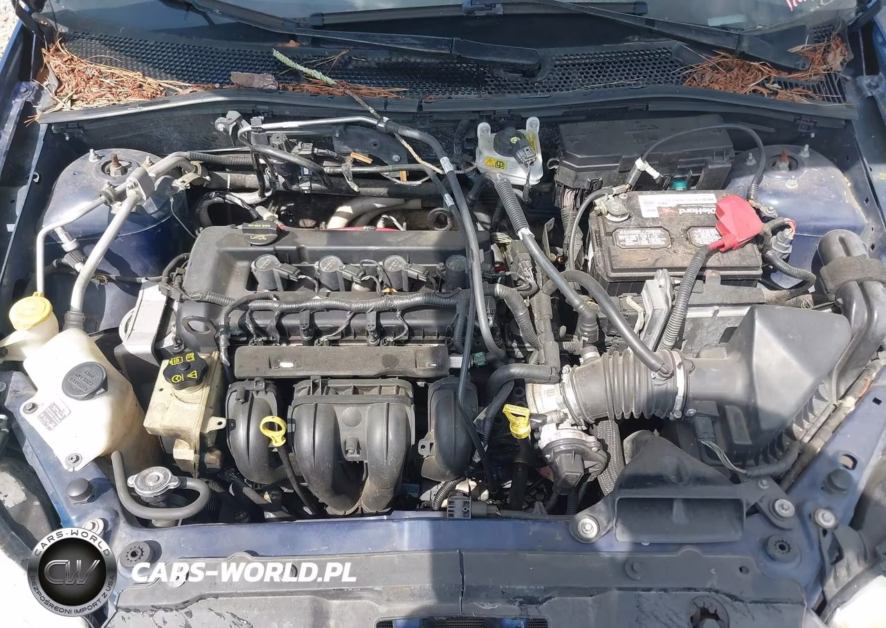 2009 Ford Focus Ses VIN:1FAHP36N19W178096 - 10