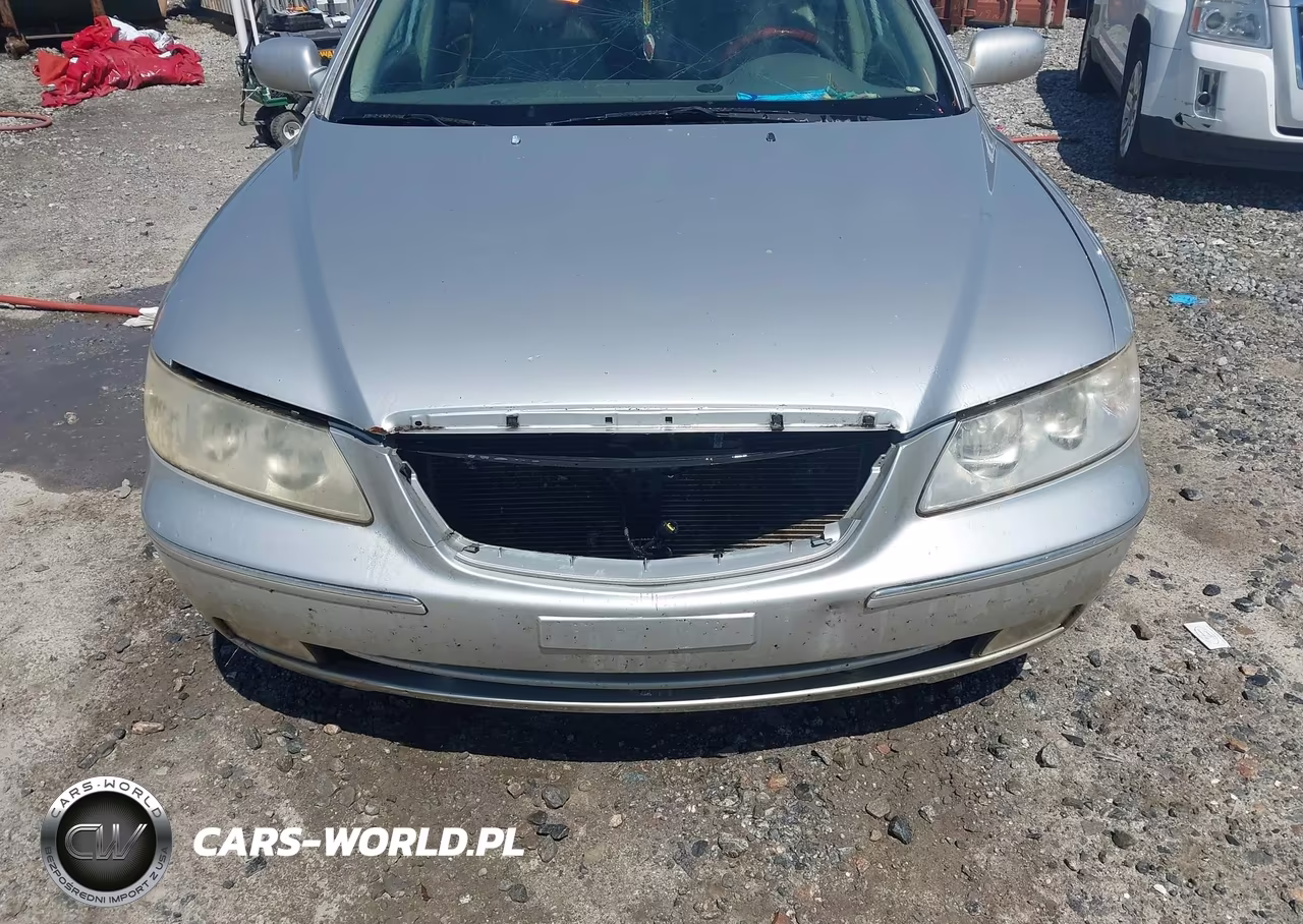 2006 Hyundai Azera Limited-Se VIN:KMHFC46F66A125099 - 6
