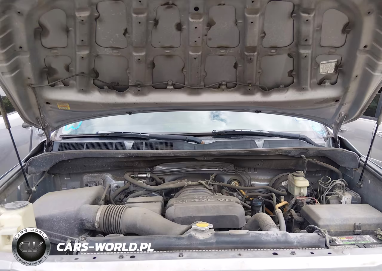 2009 Toyota Tundra Grade 4.7L V8 VIN:5TFRT54159X028928 - 10