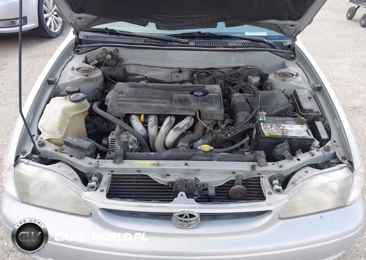 2000 Toyota Corolla Ve VIN:1NXBR12E2YZ396106 - 10