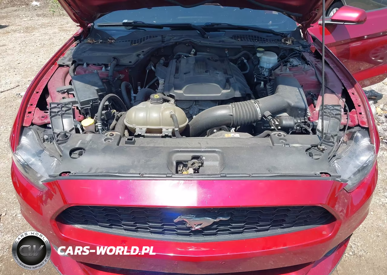 2017 Ford Mustang Ecoboost VIN:1FA6P8TH5H5239036 - 10