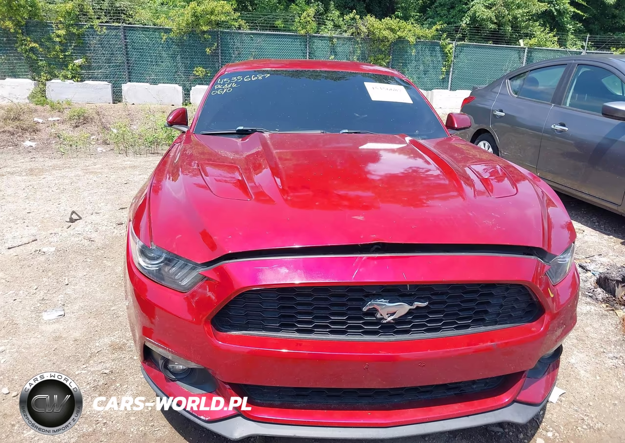 2017 Ford Mustang Ecoboost VIN:1FA6P8TH5H5239036 - 12