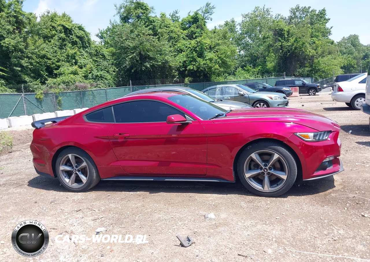 2017 Ford Mustang Ecoboost VIN:1FA6P8TH5H5239036 - 13