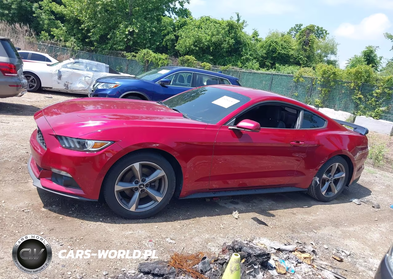 2017 Ford Mustang Ecoboost VIN:1FA6P8TH5H5239036 - 14