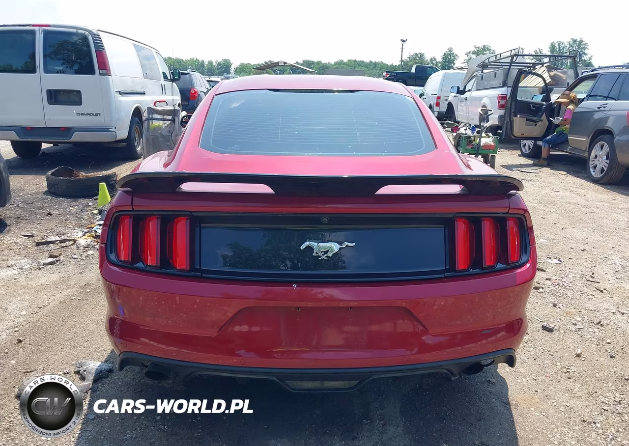 2017 Ford Mustang Ecoboost VIN:1FA6P8TH5H5239036 - 16