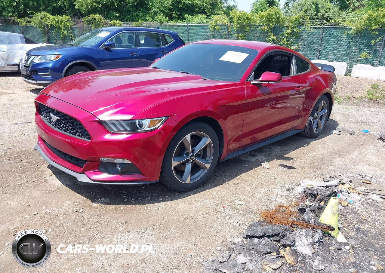 2017 Ford Mustang Ecoboost VIN:1FA6P8TH5H5239036 - 2