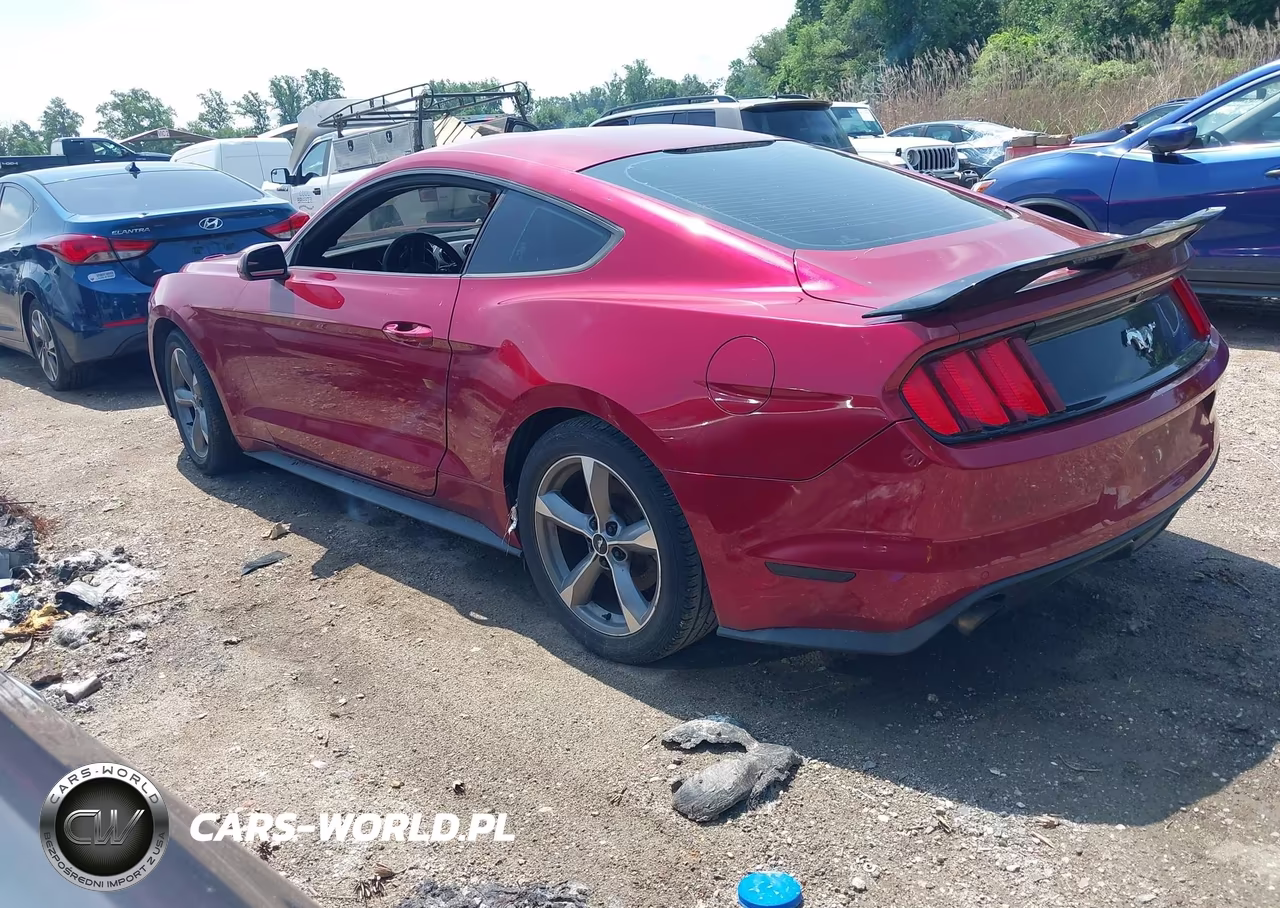 2017 Ford Mustang Ecoboost VIN:1FA6P8TH5H5239036 - 3