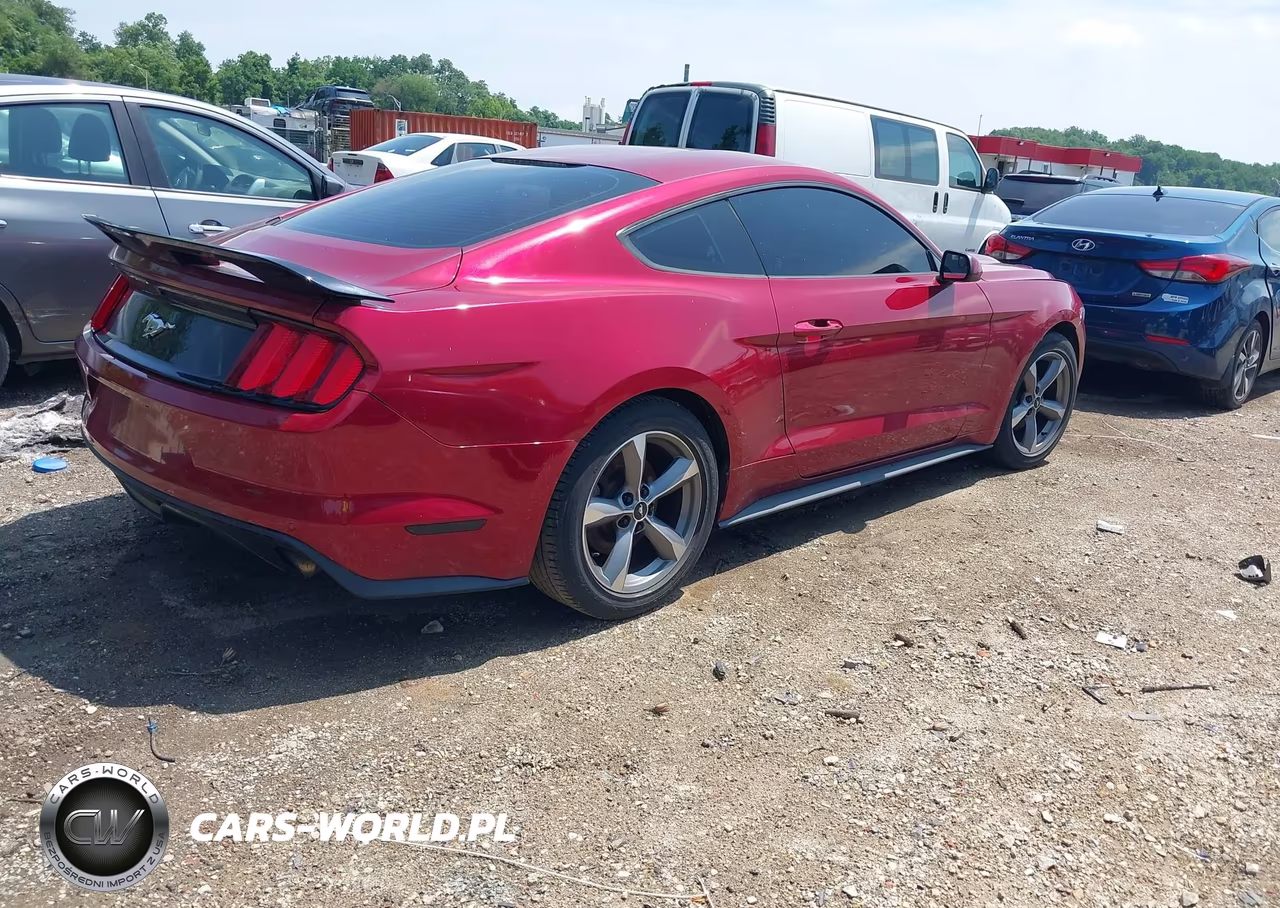 2017 Ford Mustang Ecoboost VIN:1FA6P8TH5H5239036 - 4