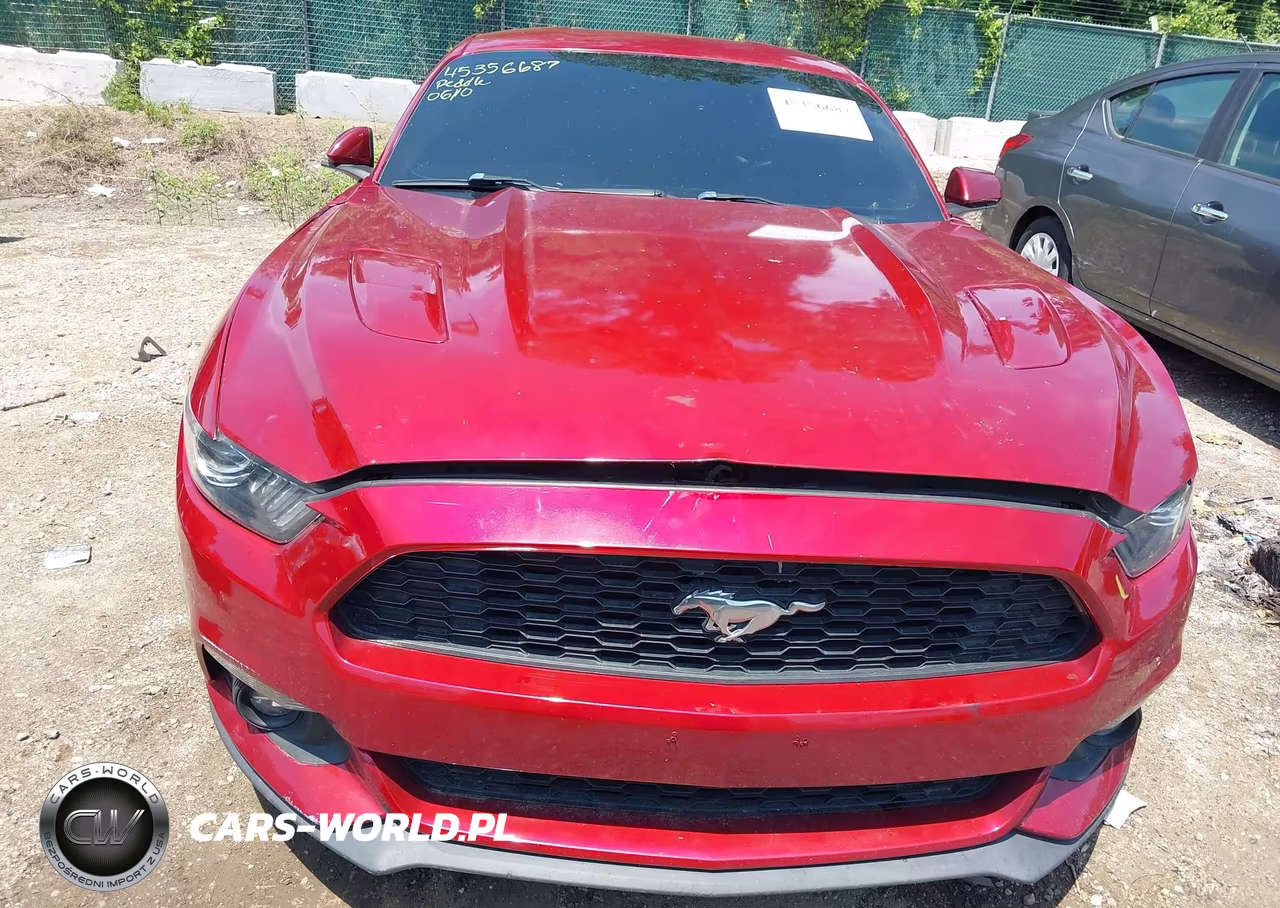 2017 Ford Mustang Ecoboost VIN:1FA6P8TH5H5239036 - 6