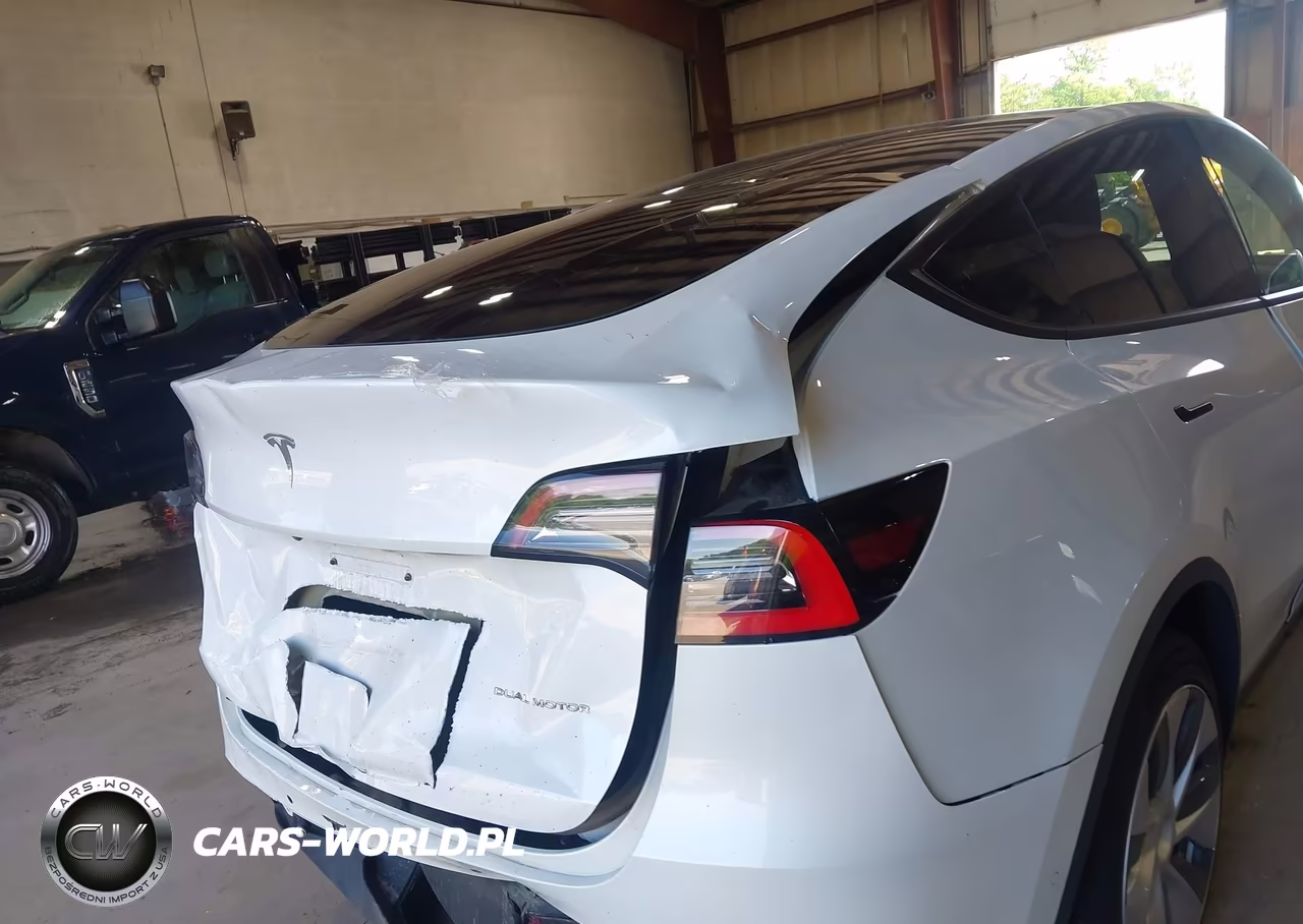 2020 Tesla Model Y Long Range Dual Motor All-Wheel Drive VIN:5YJYGDEE0LF050428 - 20