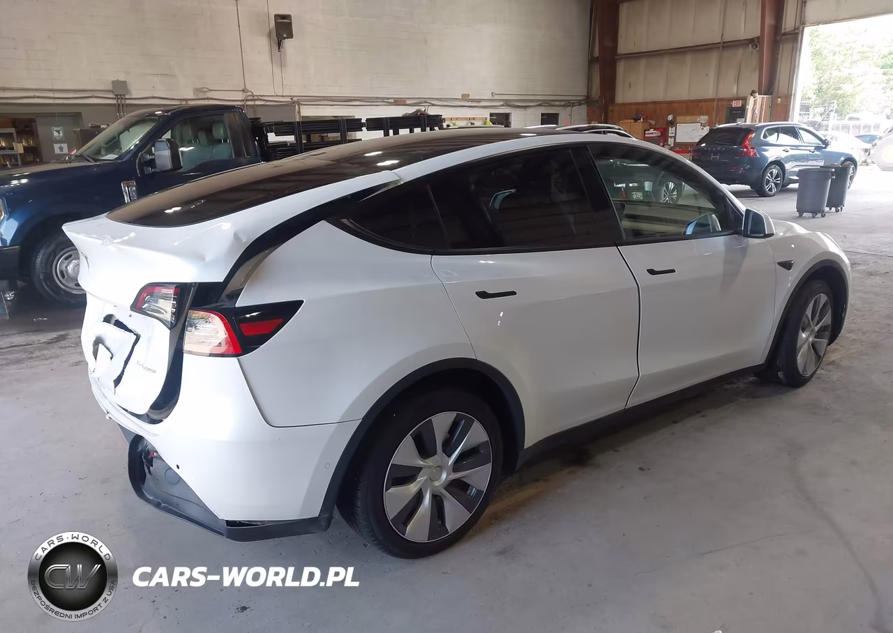 2020 Tesla Model Y Long Range Dual Motor All-Wheel Drive VIN:5YJYGDEE0LF050428 - 4