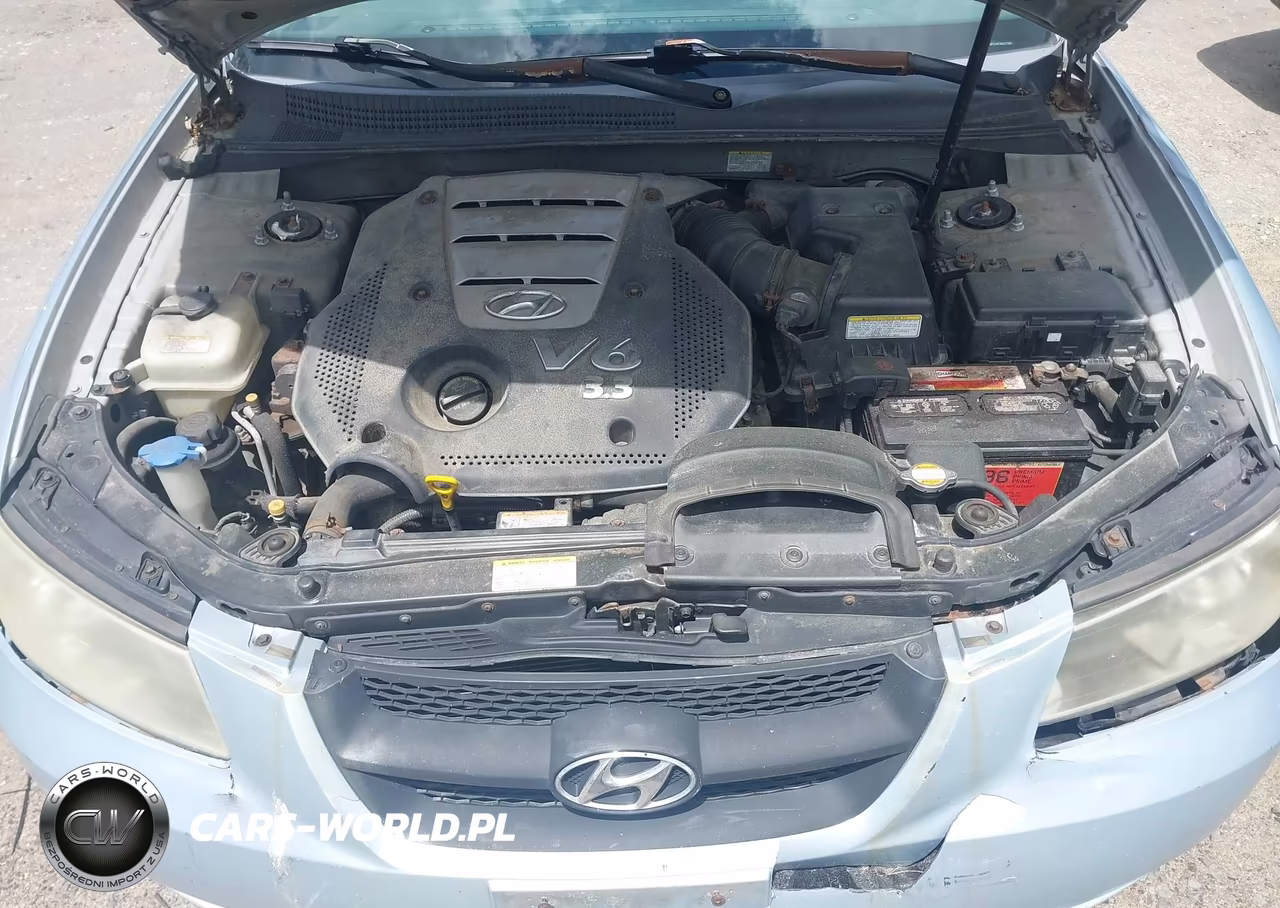 2006 Hyundai Sonata Gls V6-Lx V6 VIN:5NPEU46F86H127989 - 10