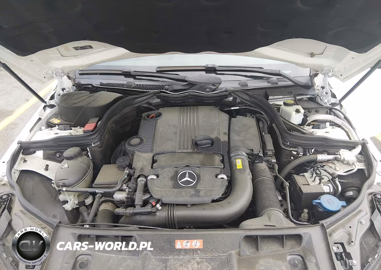 2014 Mercedes-Benz C 250 VIN:WDDGJ4HB7EG255371 - 10
