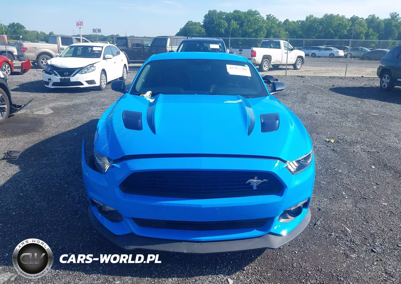 2017 Ford Mustang Gt Premium VIN:1FA6P8CF1H5209112 - 13
