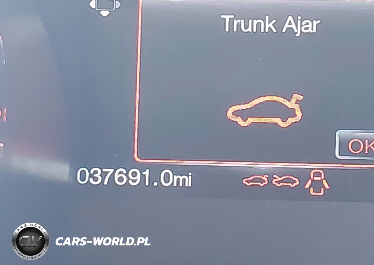 2017 Ford Mustang Gt Premium VIN:1FA6P8CF1H5209112 - 16